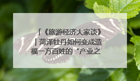 《旅游经济大家谈》｜菏泽牡丹如何变成造福一方百姓的“产业之花”“富民之花”？