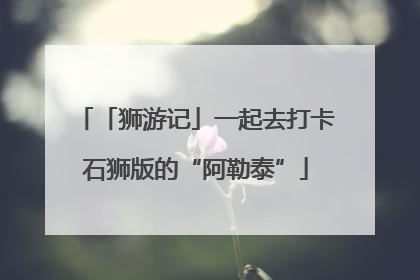 「狮游记」一起去打卡石狮版的“阿勒泰”