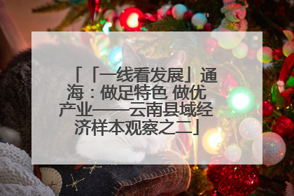 「一线看发展」通海：做足特色 做优产业——云南县域经济样本观察之二