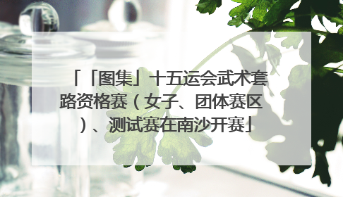 「图集」十五运会武术套路资格赛（女子、团体赛区）、测试赛在南沙开赛