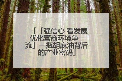 「强信心 看发展 优化营商环境争一流」一瓶胡麻油背后的产业密码