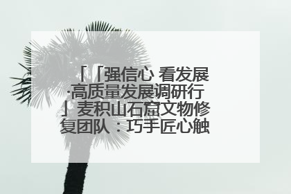 「强信心 看发展·高质量发展调研行」麦积山石窟文物修复团队：巧手匠心触摸“光阴的故事”