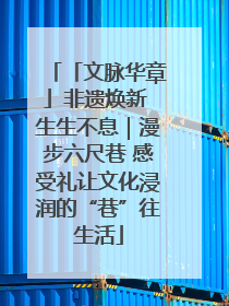 「文脉华章」非遗焕新 生生不息｜漫步六尺巷 感受礼让文化浸润的“巷”往生活