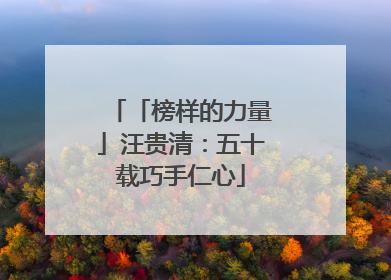 「榜样的力量」汪贵清：五十载巧手仁心