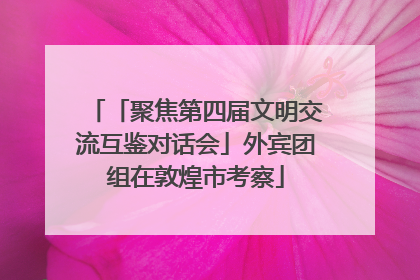 「聚焦第四届文明交流互鉴对话会」外宾团组在敦煌市考察