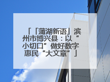 「蒲湖新语」滨州市博兴县：以“小切口”做好数字惠民“大文章”