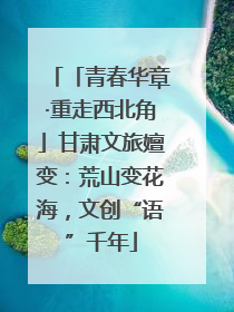 「青春华章·重走西北角」甘肃文旅嬗变：荒山变花海，文创“语”千年