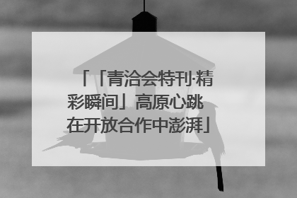 「青洽会特刊·精彩瞬间」高原心跳 在开放合作中澎湃