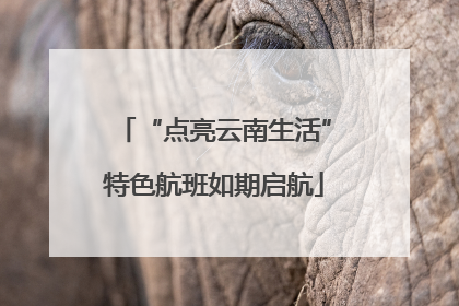 “点亮云南生活”特色航班如期启航