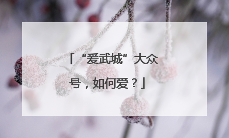 “爱武城”大众号，如何爱？