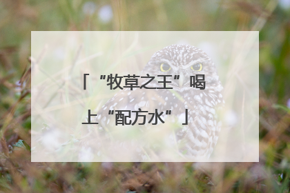 “牧草之王”喝上“配方水”