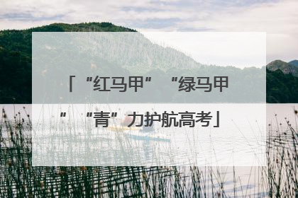 “红马甲”“绿马甲”“青”力护航高考