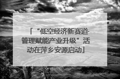 “低空经济新赛道·管理赋能产业升级”活动在萍乡安源启动