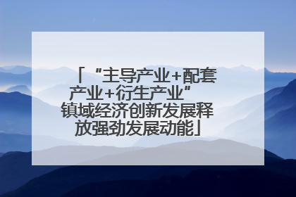 “主导产业+配套产业+衍生产业” 镇域经济创新发展释放强劲发展动能