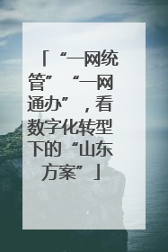 “一网统管”“一网通办”，看数字化转型下的“山东方案”