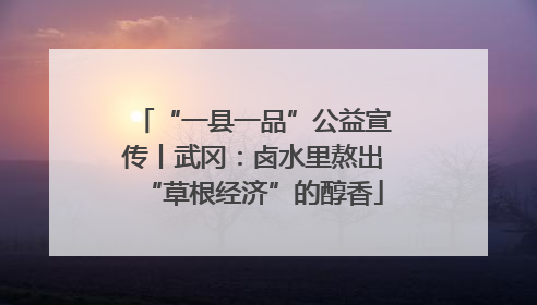 “一县一品”公益宣传丨武冈：卤水里熬出“草根经济”的醇香