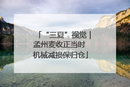“三夏”视觉｜孟州麦收正当时 机械减损保归仓