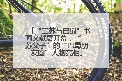 “三苏与巴蜀”书画文献展开幕，“三苏父子”的“巴蜀朋友圈”人物亮相
