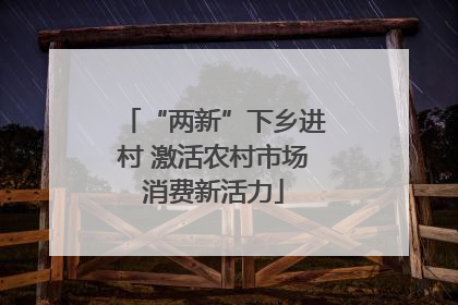 “两新”下乡进村 激活农村市场消费新活力