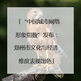 “中国城市网络形象指数”发布：郑州市文化与经济维度表现出色