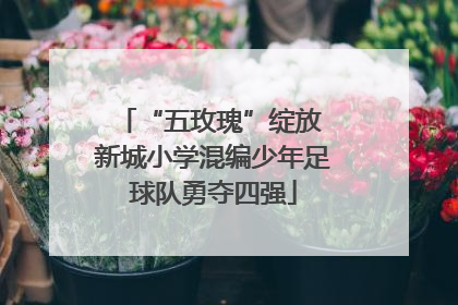 “五玫瑰”绽放 新城小学混编少年足球队勇夺四强