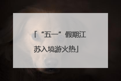 “五一”假期江苏入境游火热