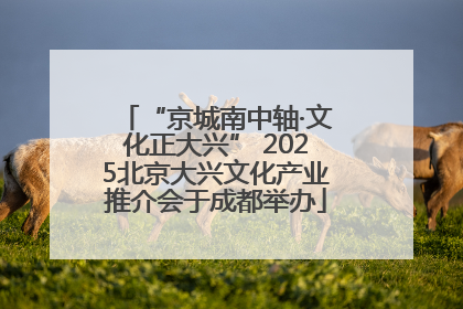 “京城南中轴·文化正大兴” 2025北京大兴文化产业推介会于成都举办