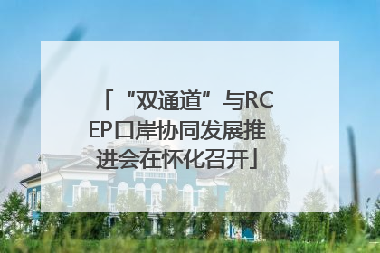 “双通道”与RCEP口岸协同发展推进会在怀化召开