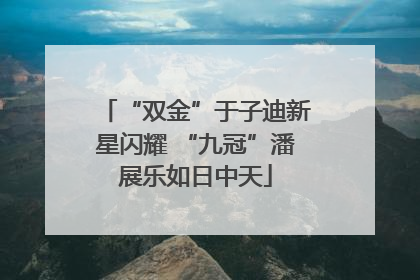“双金”于子迪新星闪耀 “九冠”潘展乐如日中天