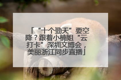 “十个勤天”要空降？跟着小楠姐“云打卡”深圳文博会，美丽浙江同步直播