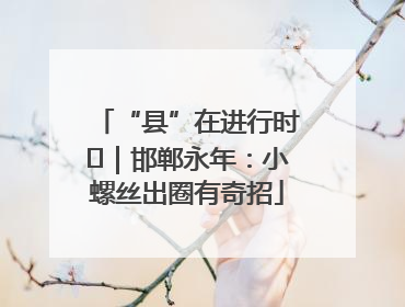 “县”在进行时⑬｜邯郸永年：小螺丝出圈有奇招