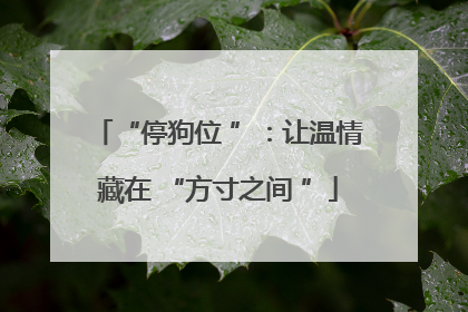 “停狗位 ”：让温情藏在 “方寸之间 ”