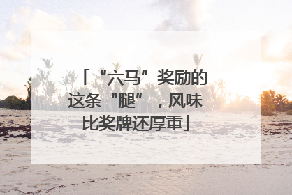 “六马”奖励的这条“腿”，风味比奖牌还厚重