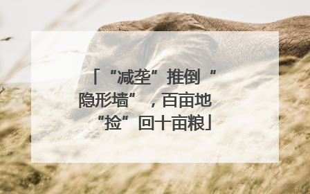 “减垄”推倒“隐形墙”，百亩地“捡”回十亩粮
