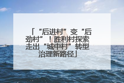 “后进村”变“后劲村”！胜利村探索走出“城中村”转型治理新路径