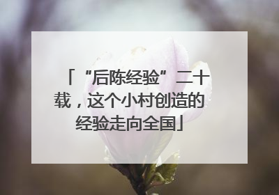 “后陈经验”二十载，这个小村创造的经验走向全国