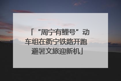 “周宁有鲤号”动车组在衢宁铁路开跑 避暑文旅迎新机