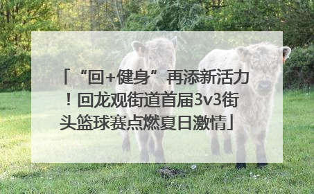 “回+健身”再添新活力！回龙观街道首届3v3街头篮球赛点燃夏日激情