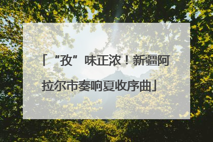 “孜”味正浓！新疆阿拉尔市奏响夏收序曲