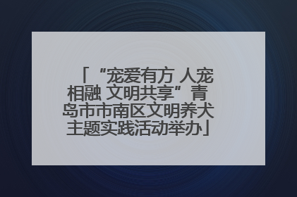 “宠爱有方 人宠相融 文明共享”青岛市市南区文明养犬主题实践活动举办
