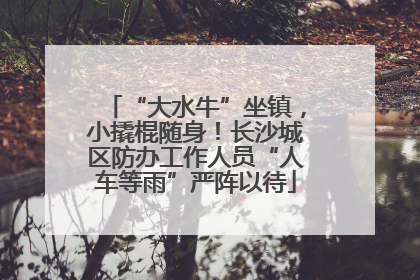 “大水牛”坐镇，小撬棍随身！长沙城区防办工作人员“人车等雨”严阵以待