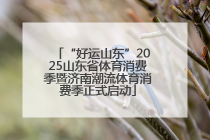 “好运山东”2025山东省体育消费季暨济南潮流体育消费季正式启动