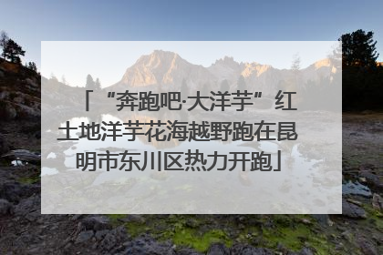 “奔跑吧·大洋芋”红土地洋芋花海越野跑在昆明市东川区热力开跑