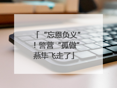 “忘恩负义”！警营“孤傲”燕隼飞走了