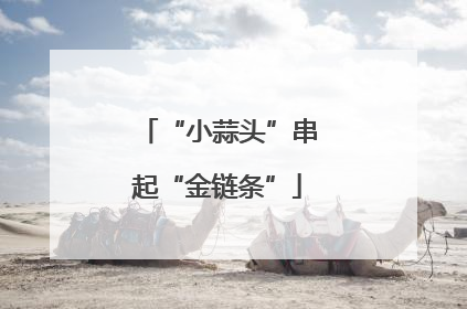 “小蒜头”串起“金链条”