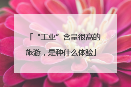 “工业”含量很高的旅游，是种什么体验