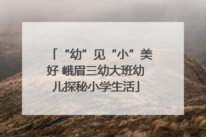 “幼”见“小”美好 峨眉三幼大班幼儿探秘小学生活