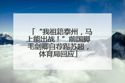 “我祖籍泰州，马上能出战！”前国脚毛剑卿自荐踢苏超，体育局回应