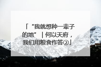 “我就想种一辈子的地”｜何以天府，我们用粮食作答②