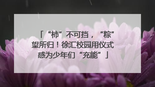 “柿”不可挡，“粽”望所归！徐汇校园用仪式感为少年们“充能”